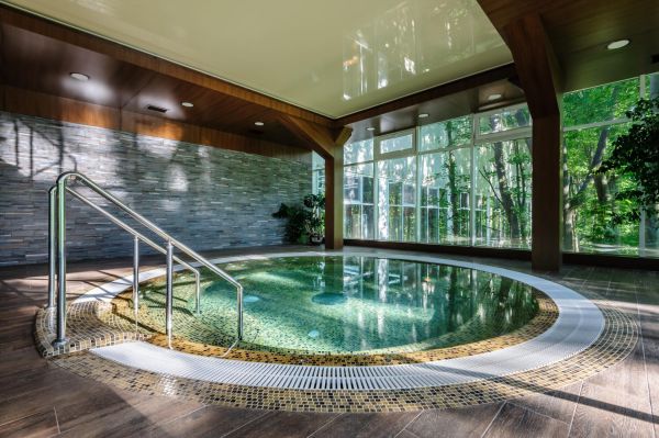Big luxury hot thub in hotel spa green area, copyspace