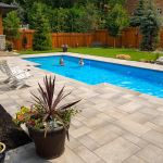 Mother and daughter swimming in new back yard pool with dog a patio of pavers and green lawn and gardens